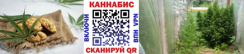 Cannafood марихуана  Поворино 