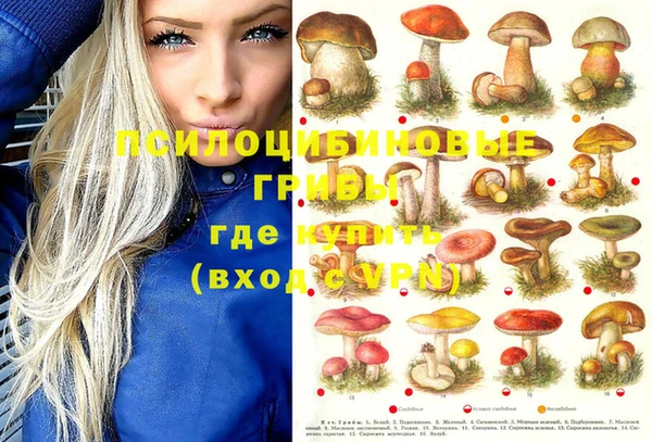 PSILOCYBIN Бронницы