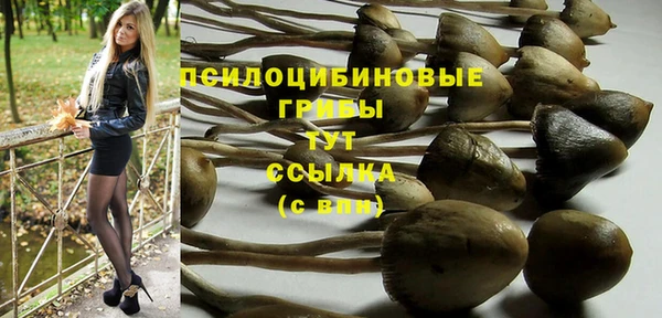 МДПВ Наволоки